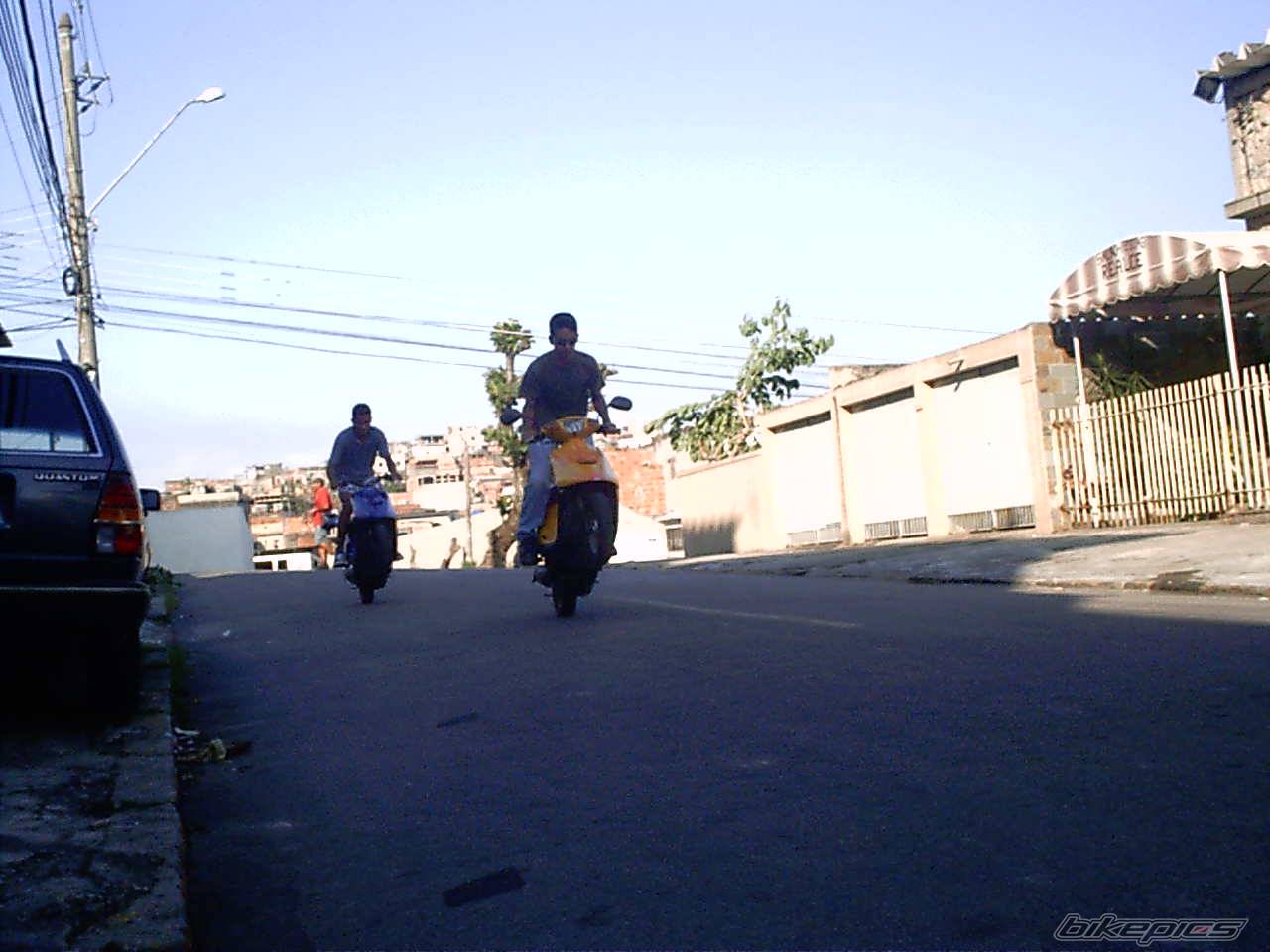 Photo 237392