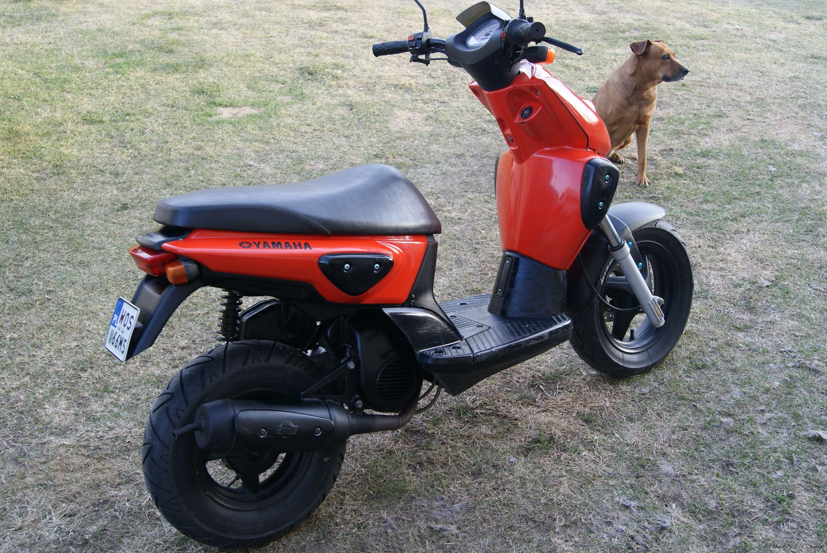 Photo 2373924