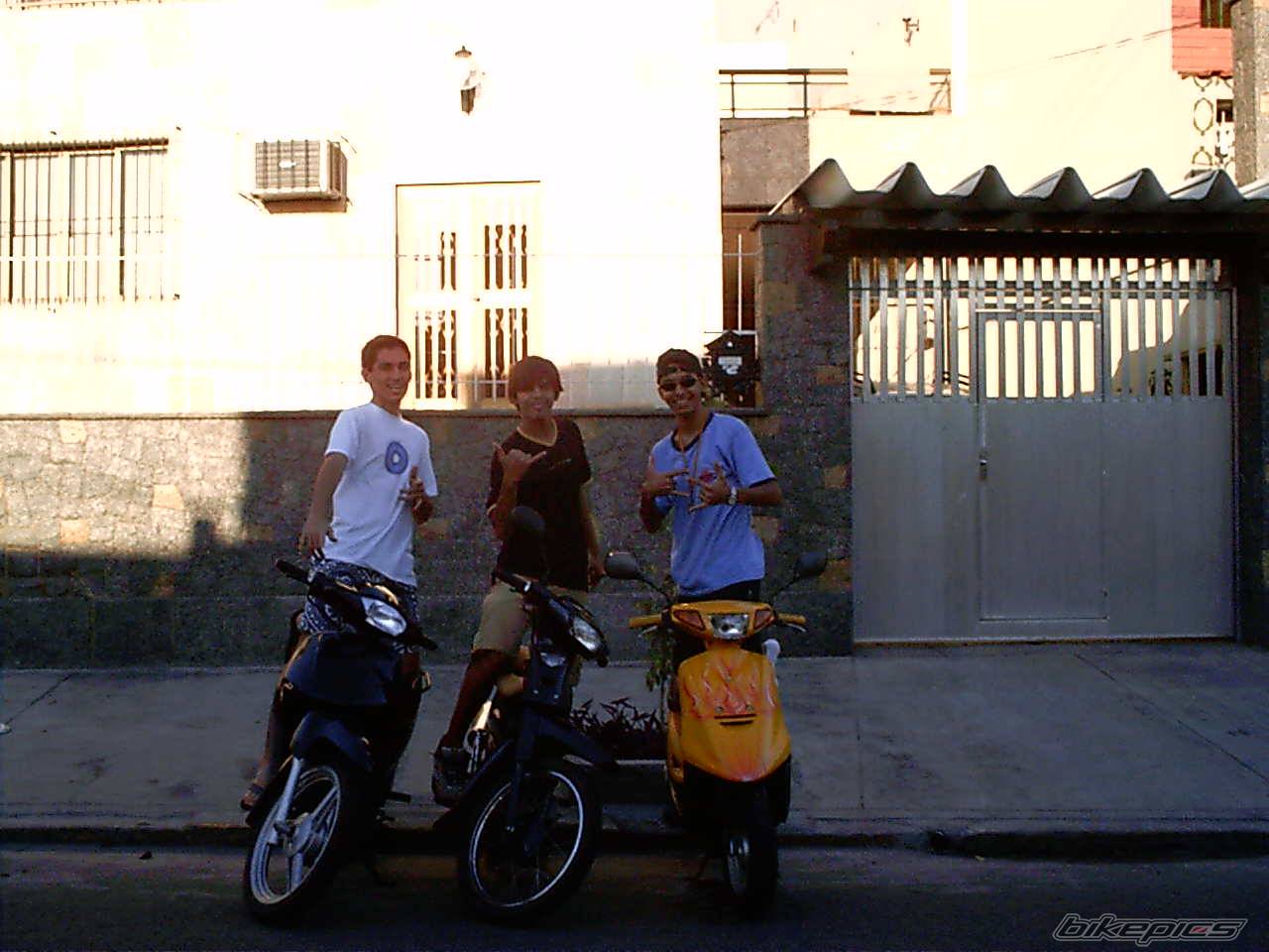 Photo 237394