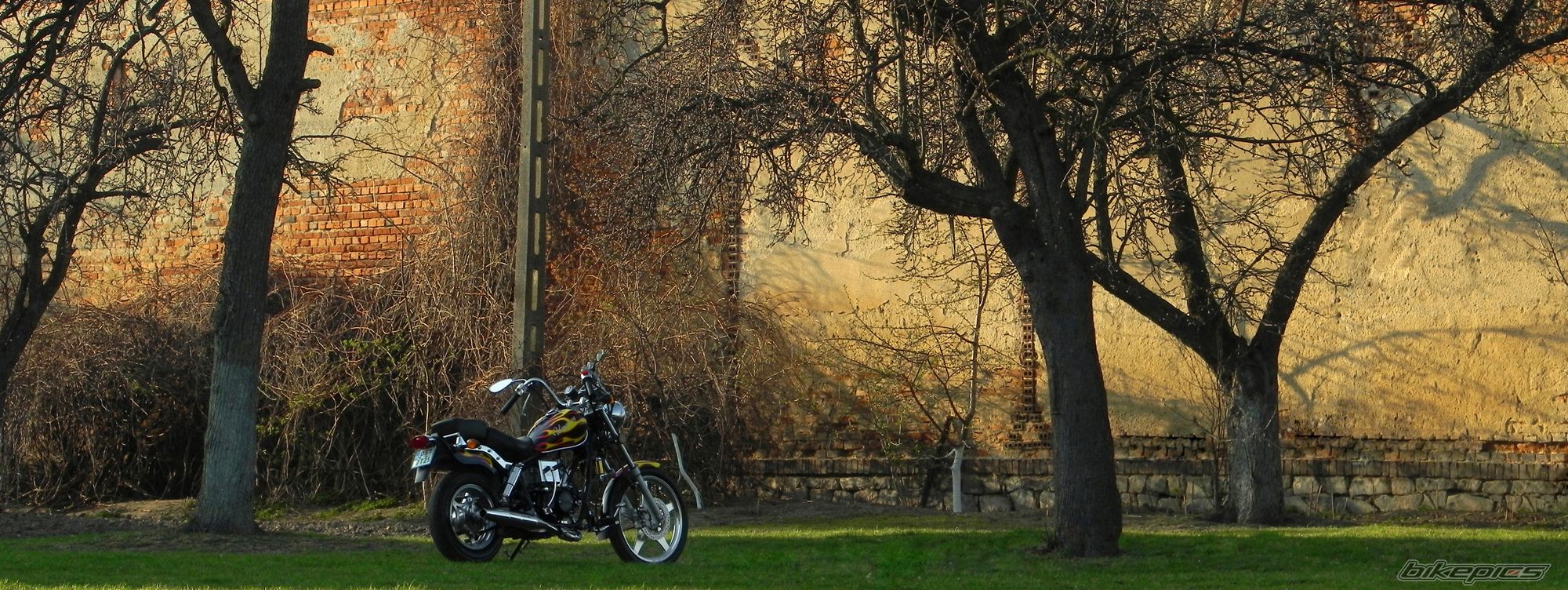 Photo 2373950