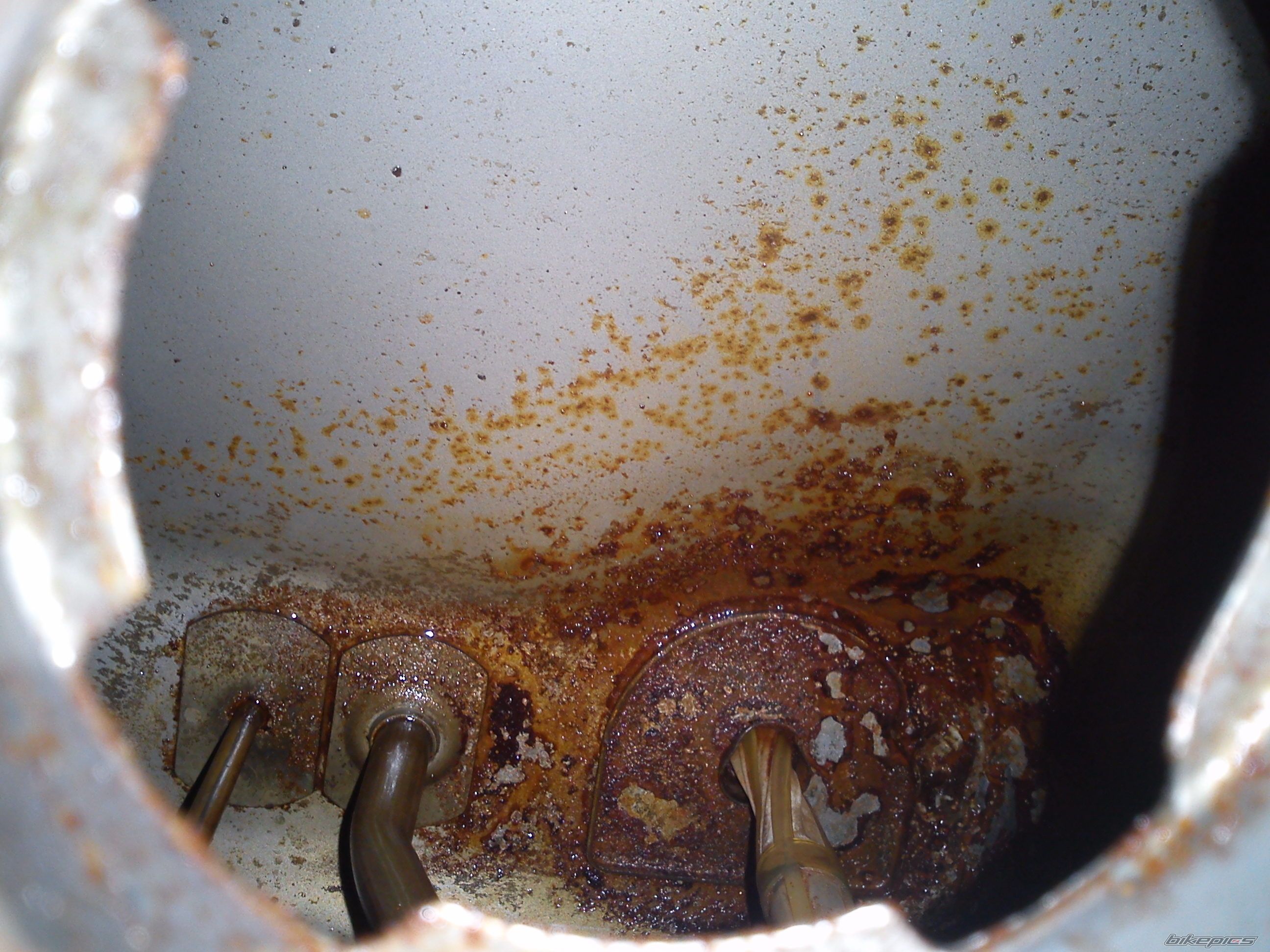 Photo 2374056
