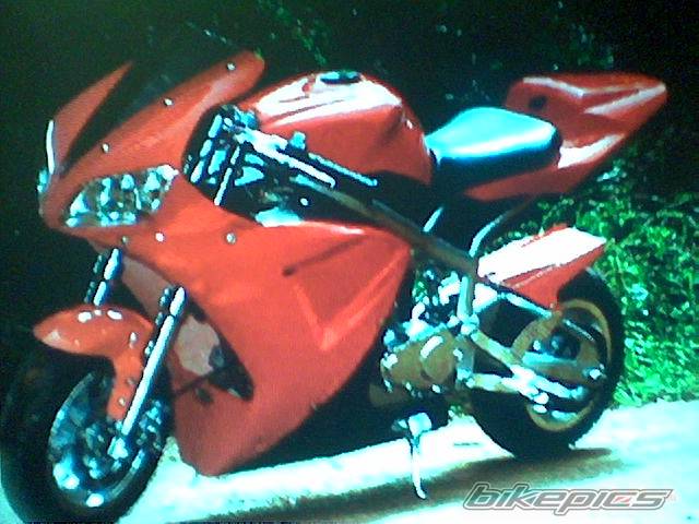 Photo 237406