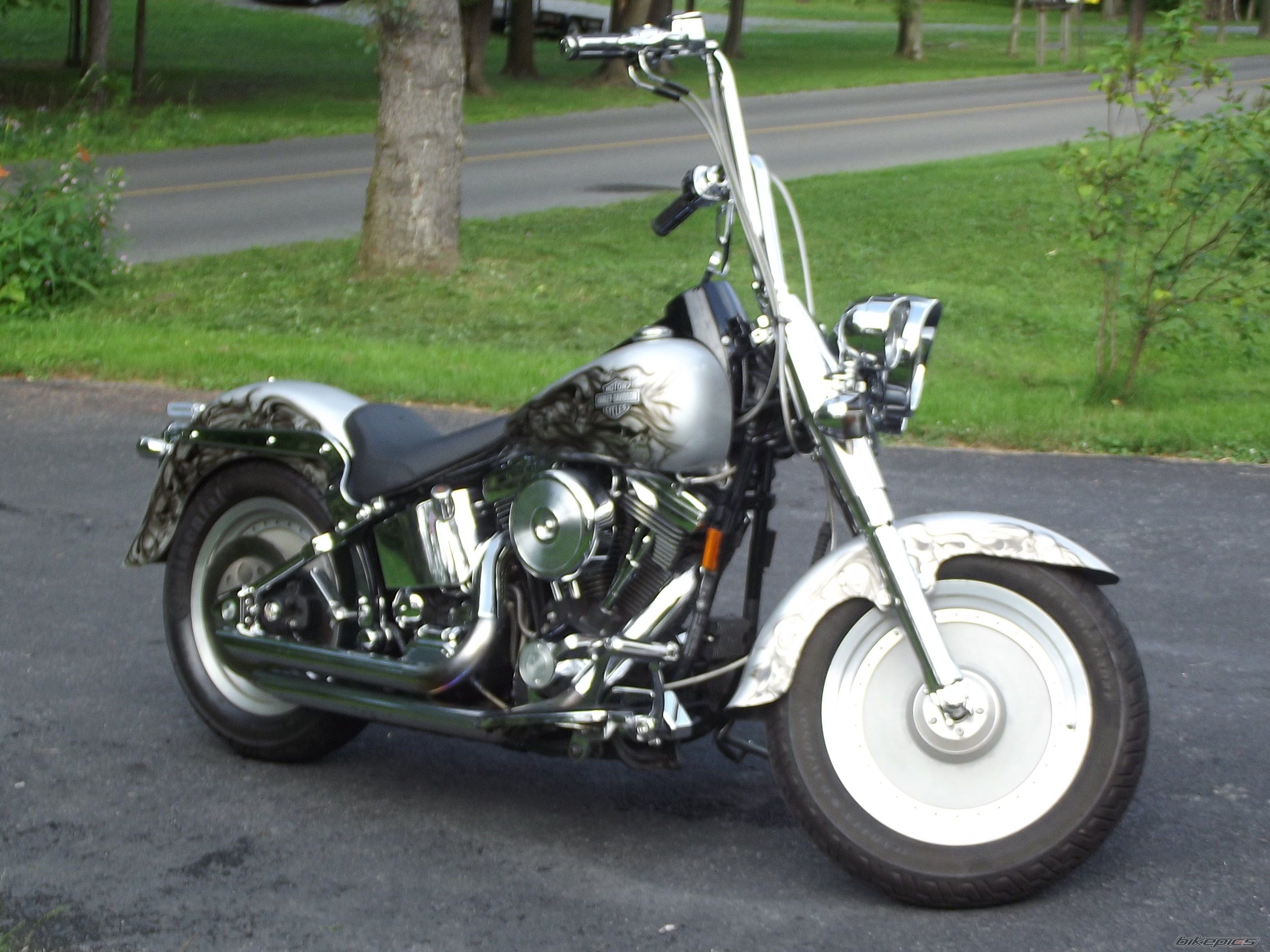 Photo 2374241