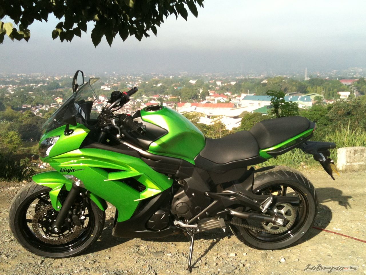 Photo 2374277