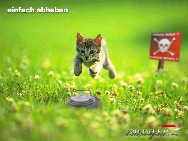 Photo 23743