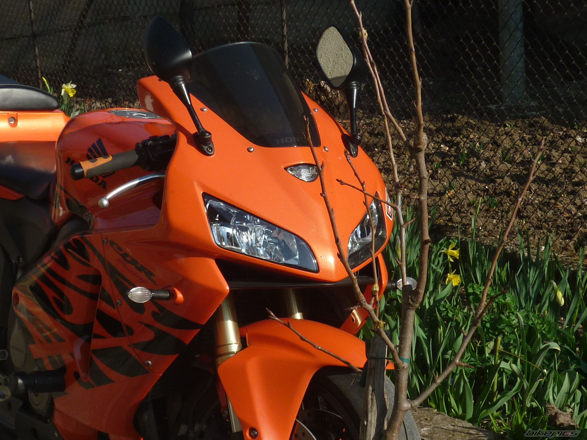 Photo 2374303