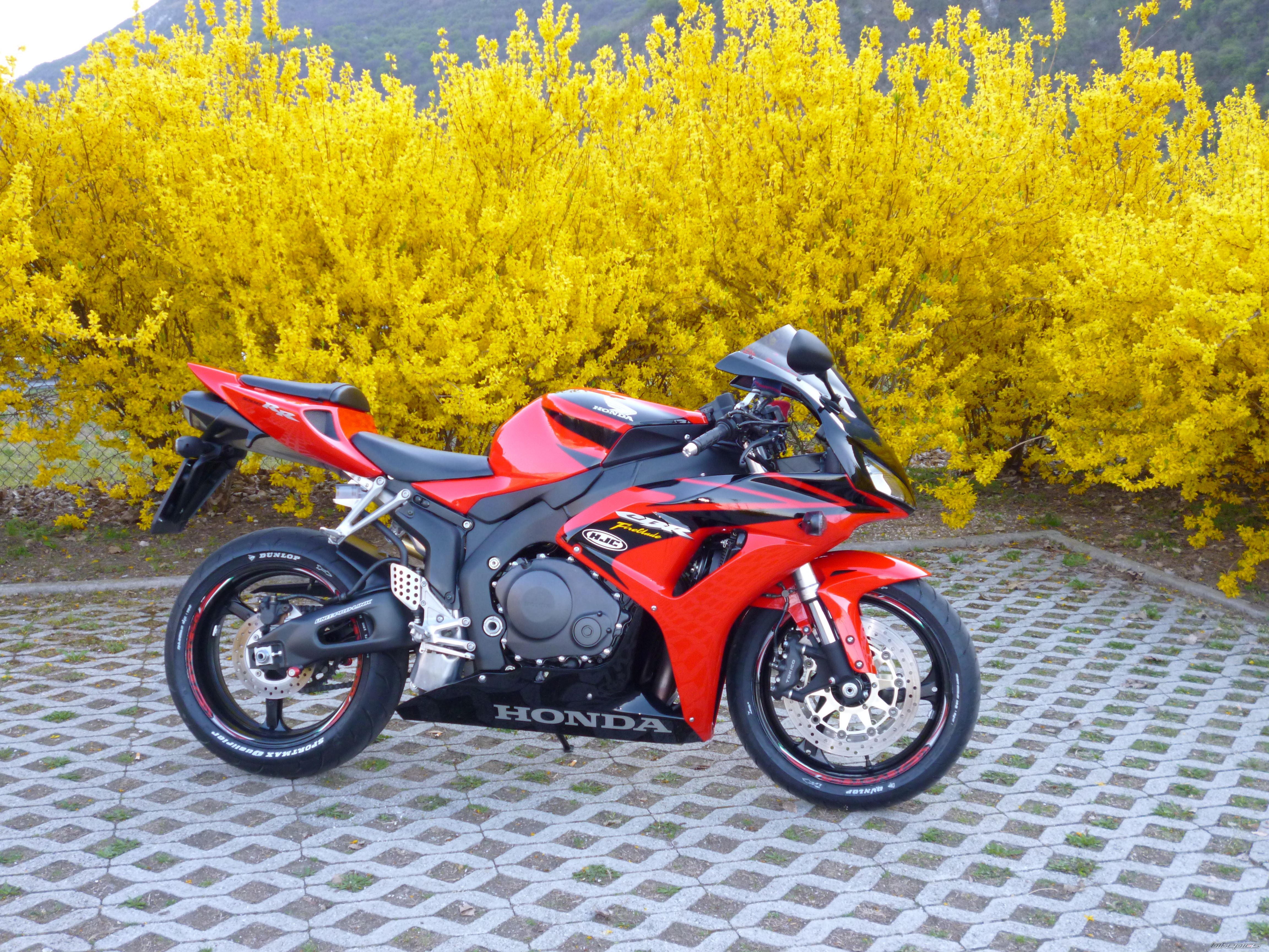 Bike Photo 2374358