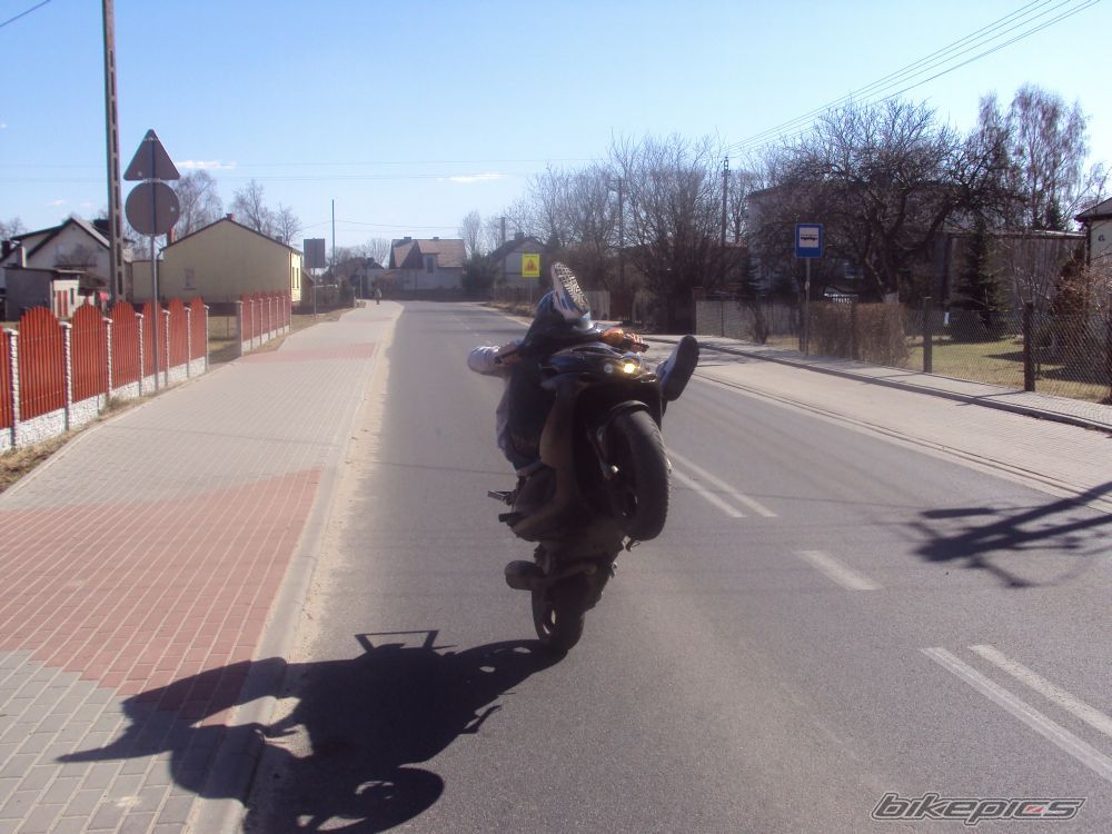 Photo 2374495