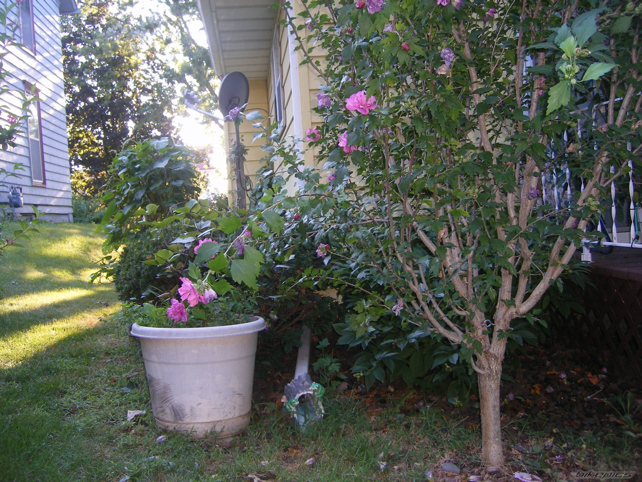 Photo 2374590
