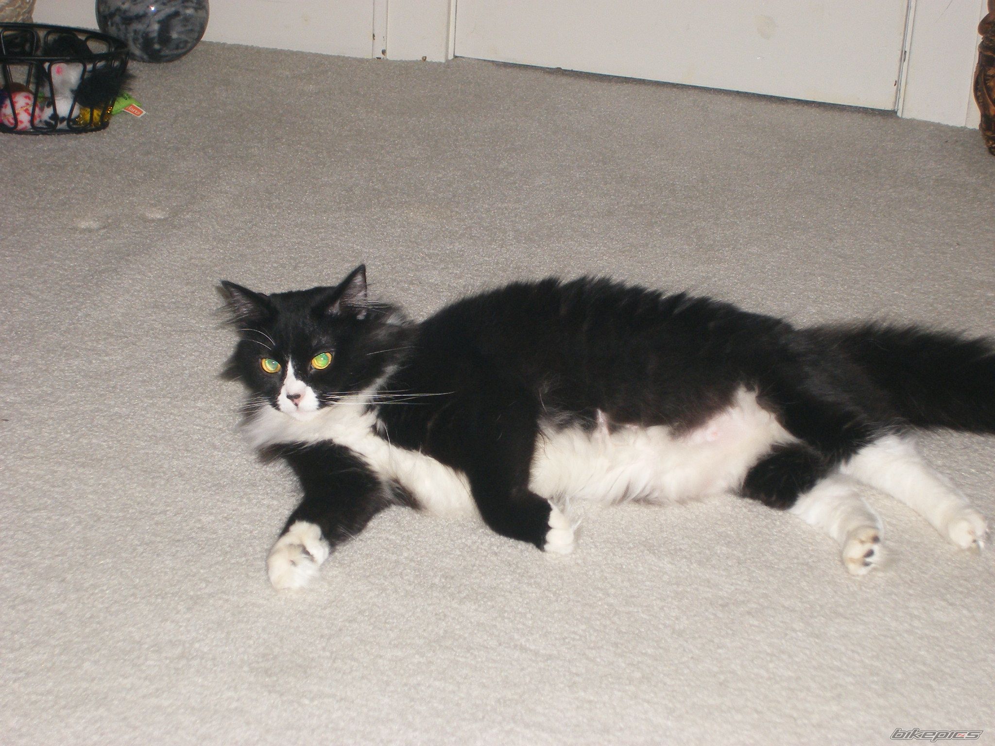 Photo 2374591
