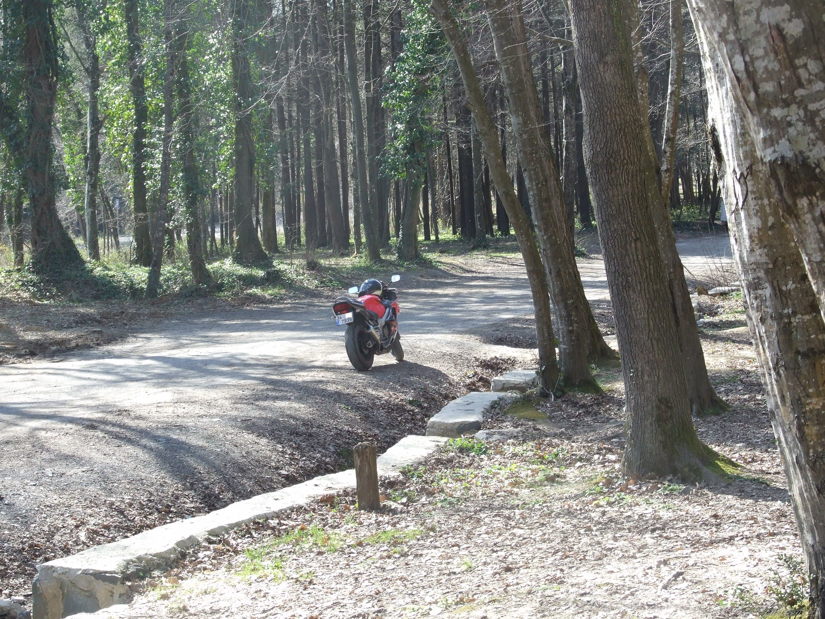 Photo 2374663