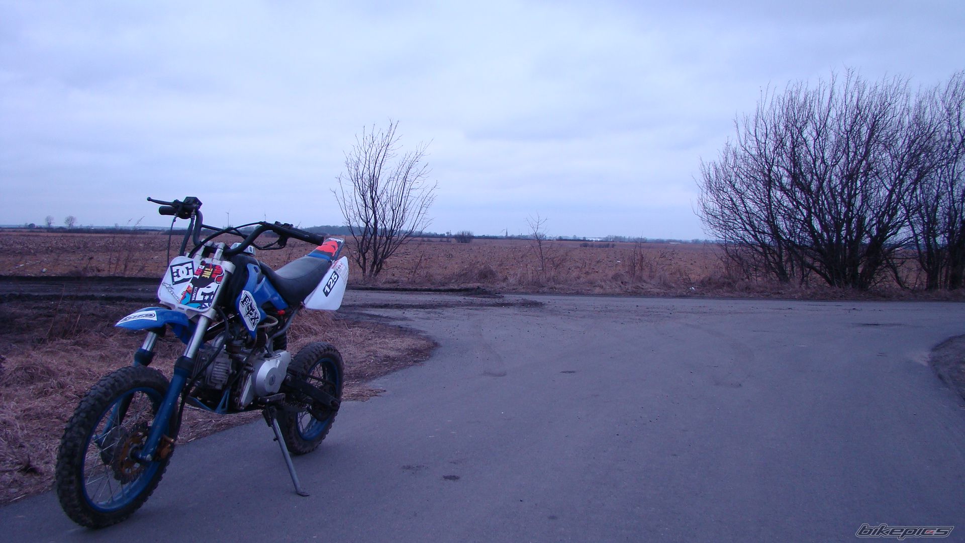 Photo 2374822