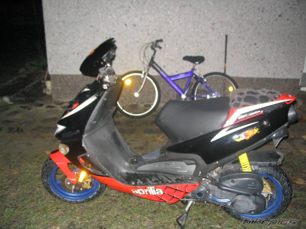 Photo 237489