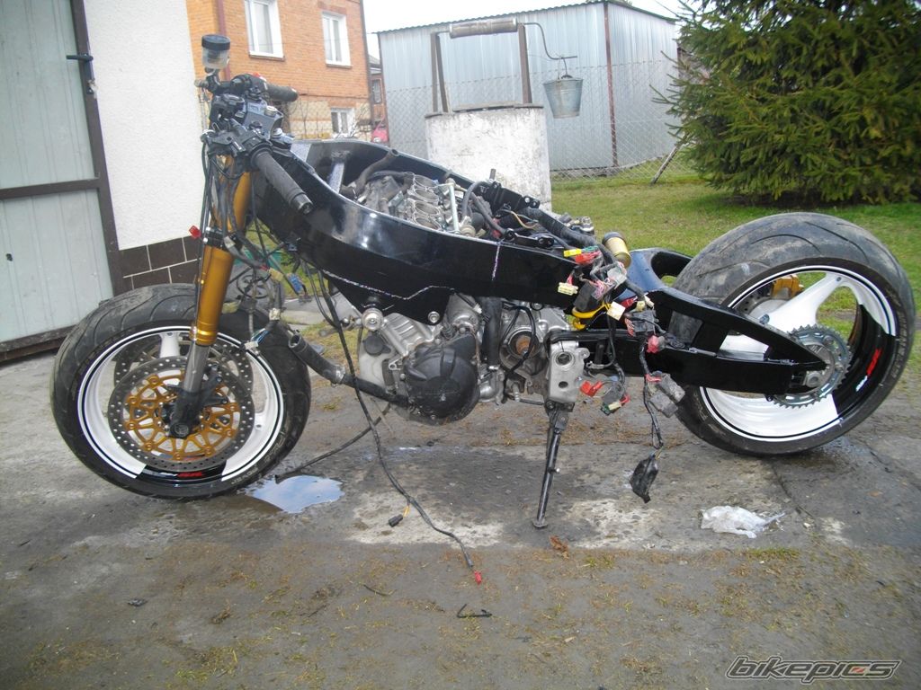 Photo 2375049