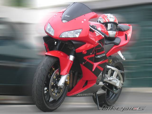 Photo 237528