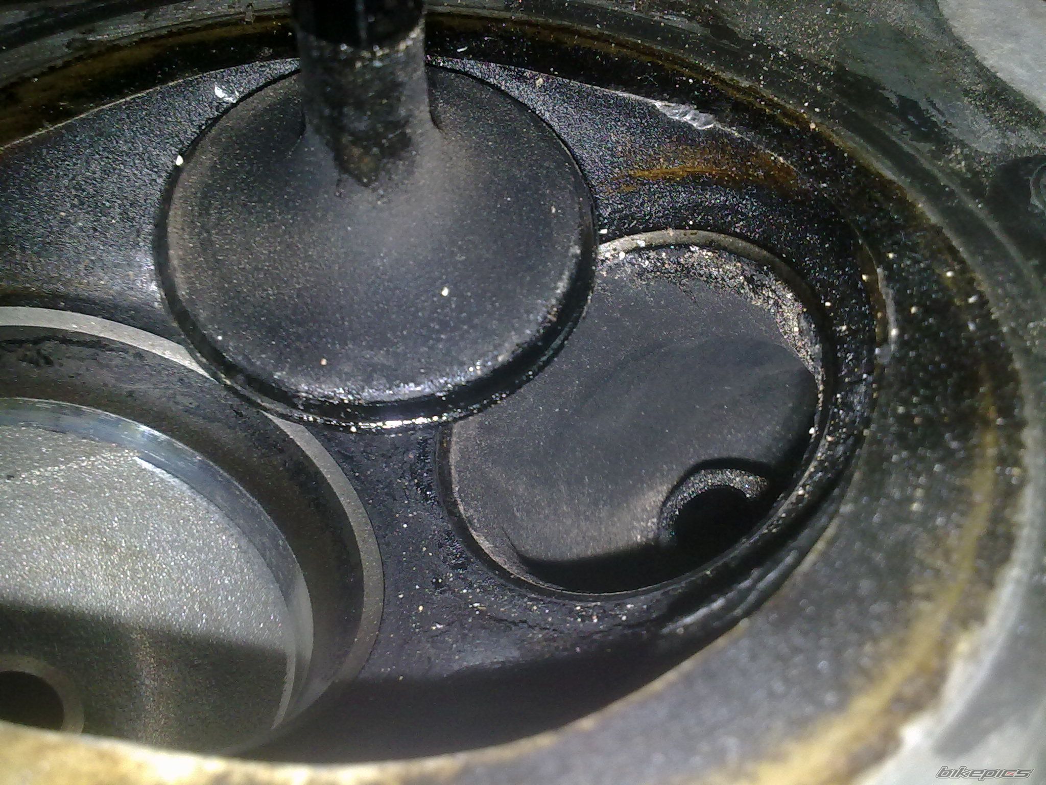 Photo 2375280