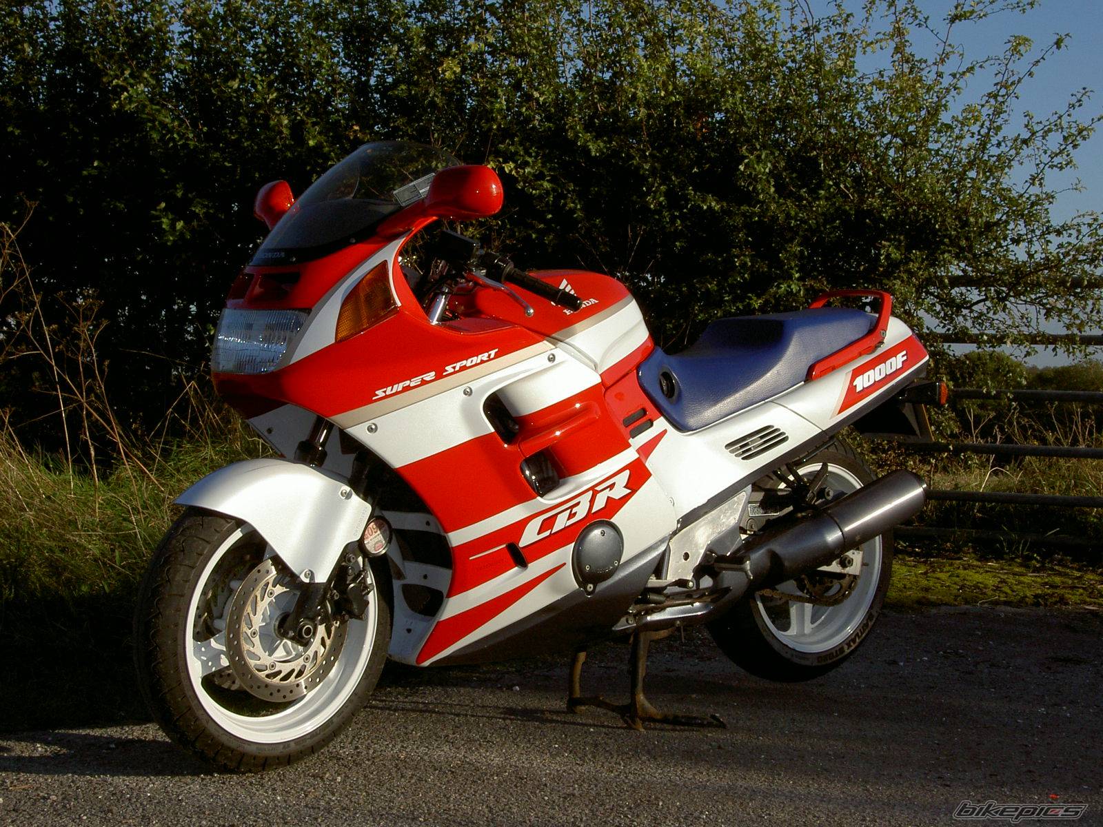 Photo 237529