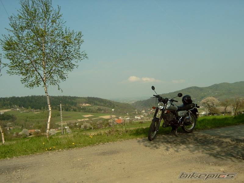 Photo 237532