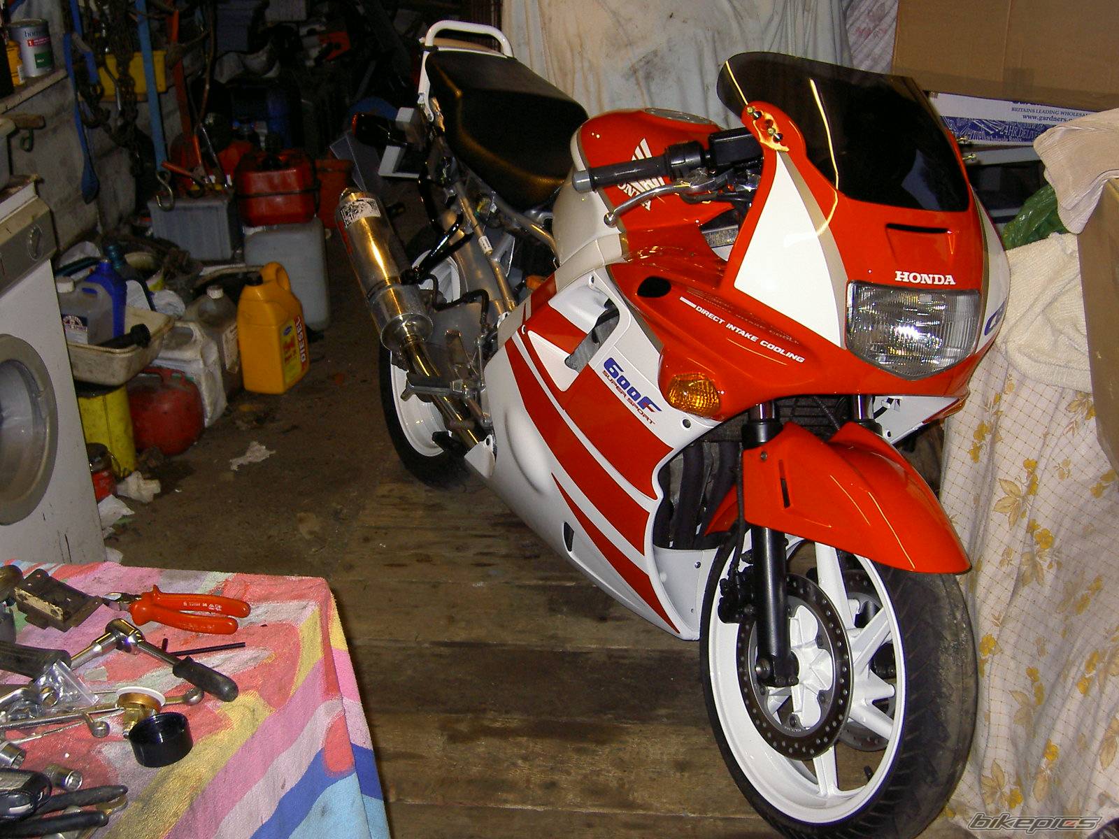 Photo 237535