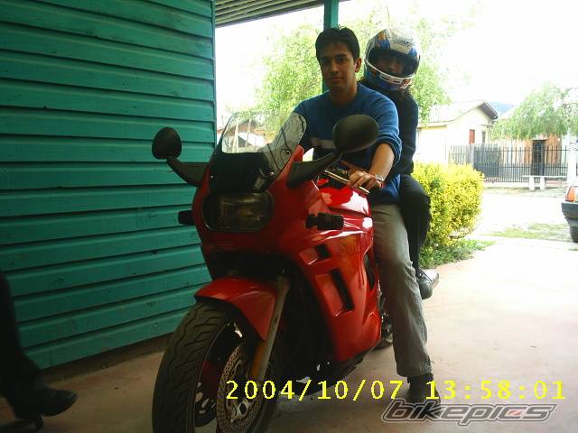 Photo 237538