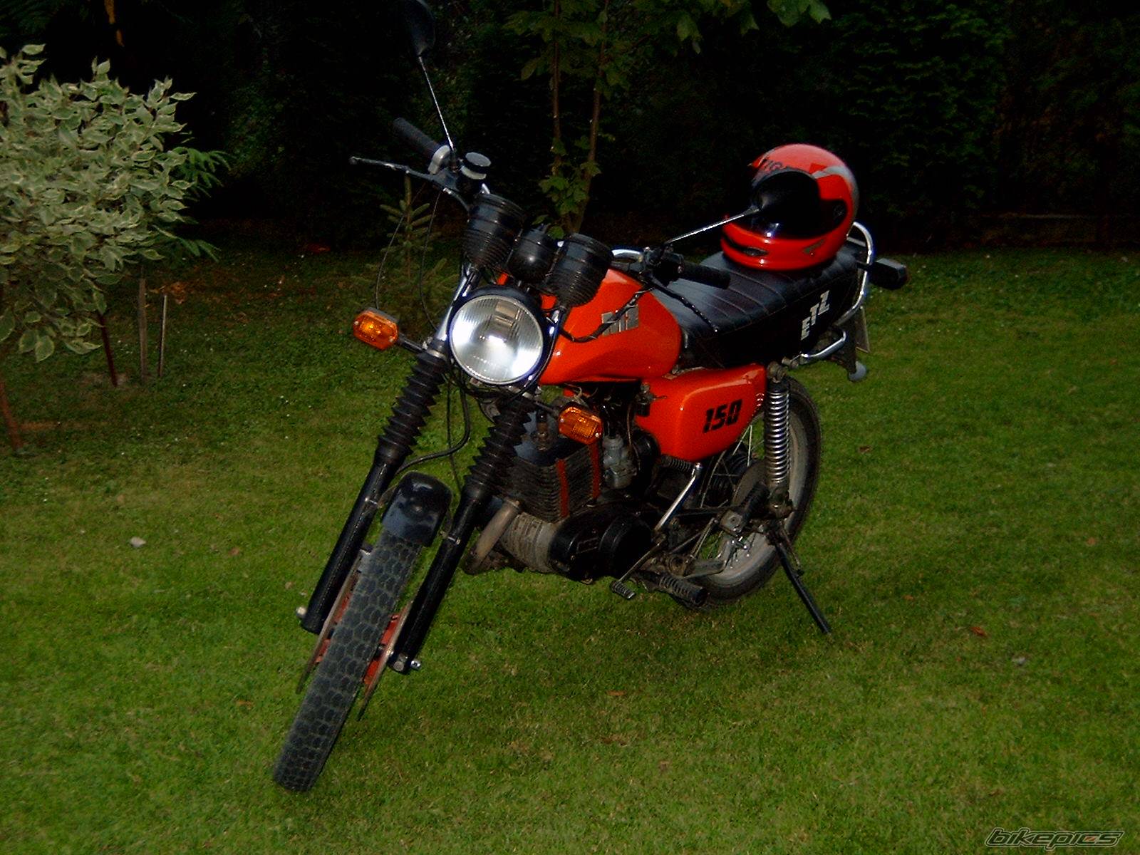 Photo 237541