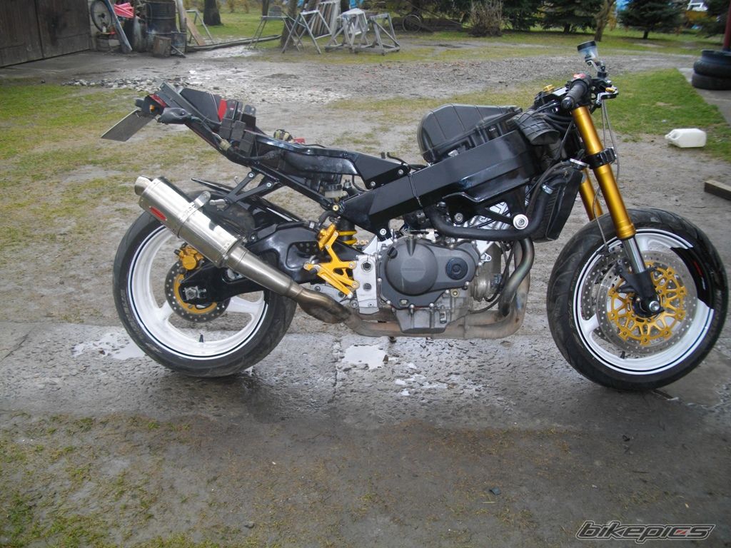 Photo 2375564