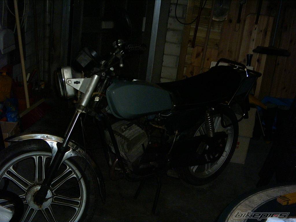 Photo 237558