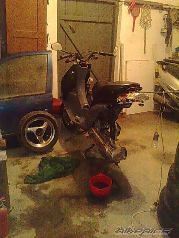 Photo 2375586
