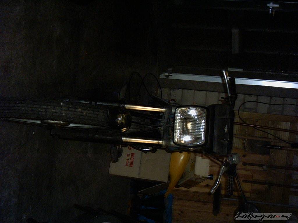 Photo 237564