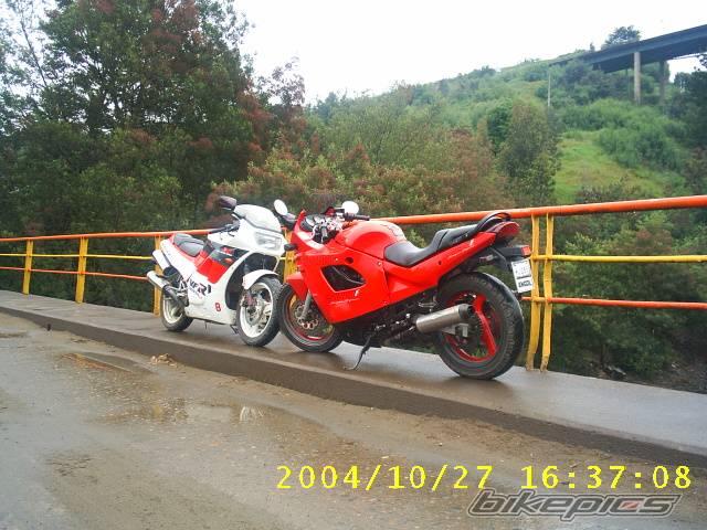 Photo 237577