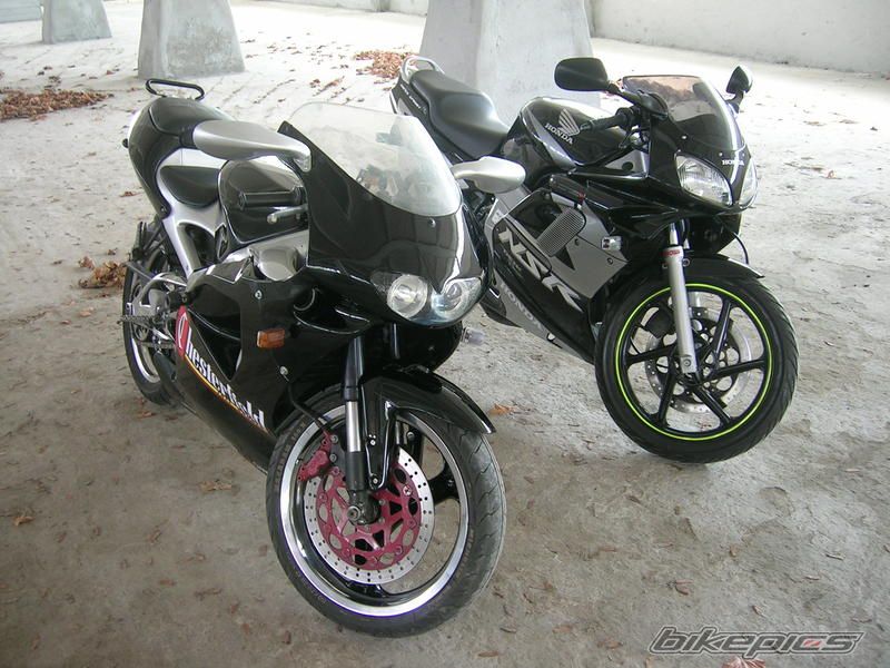 Photo 2375799