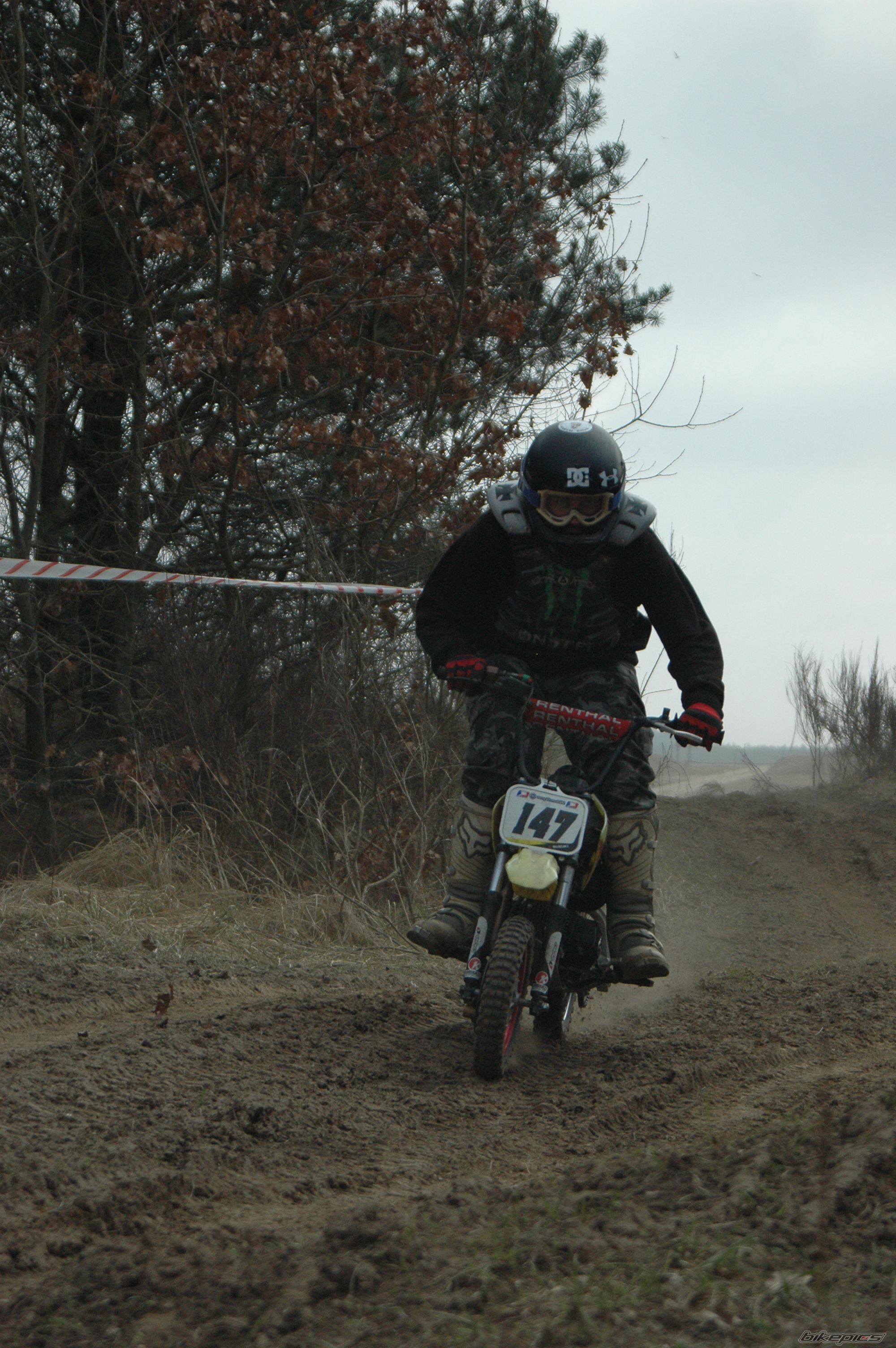 Photo 2375886