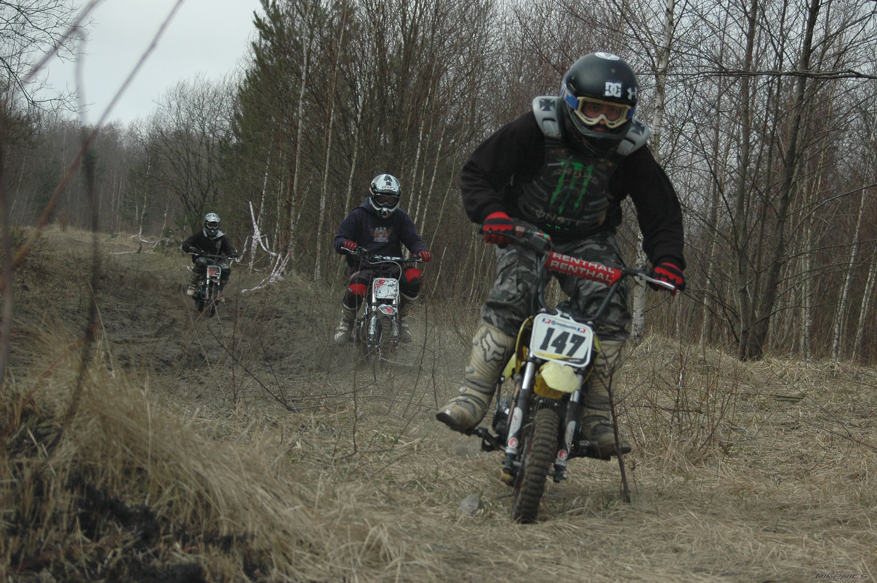 Photo 2375887