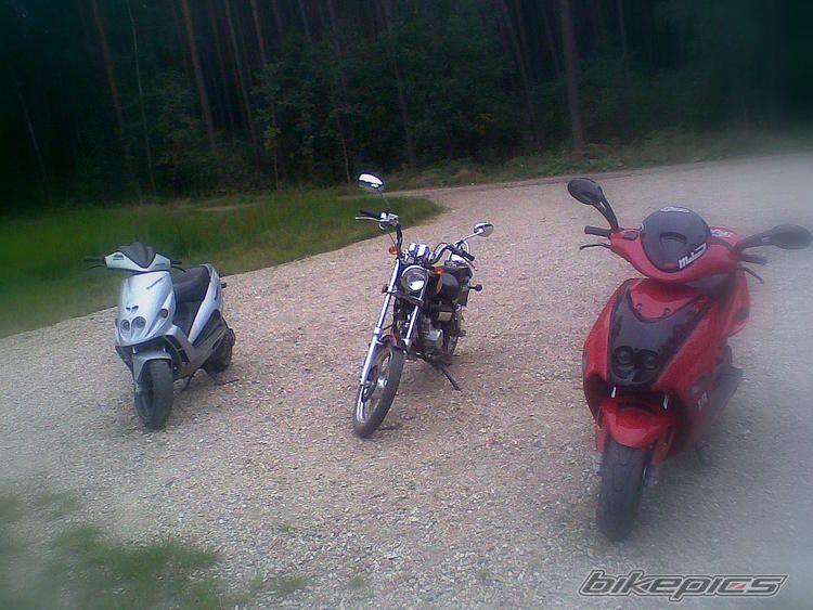 Photo 2375893