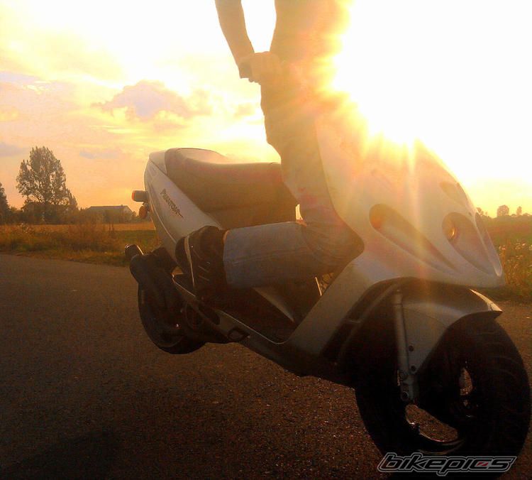 Photo 2375895