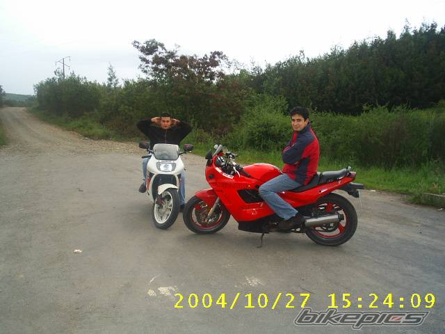 Photo 237602