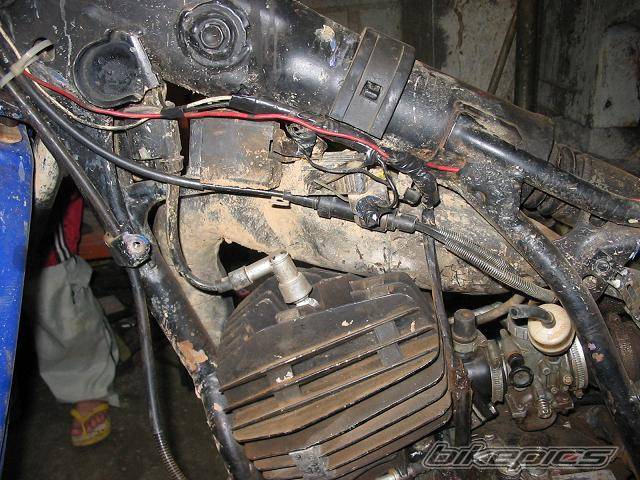 Photo 237613
