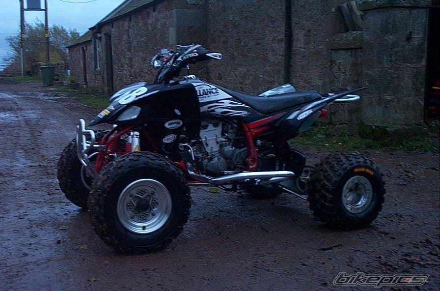 Photo 237618