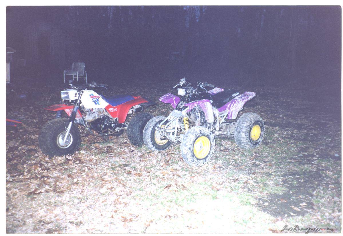 Photo 237621