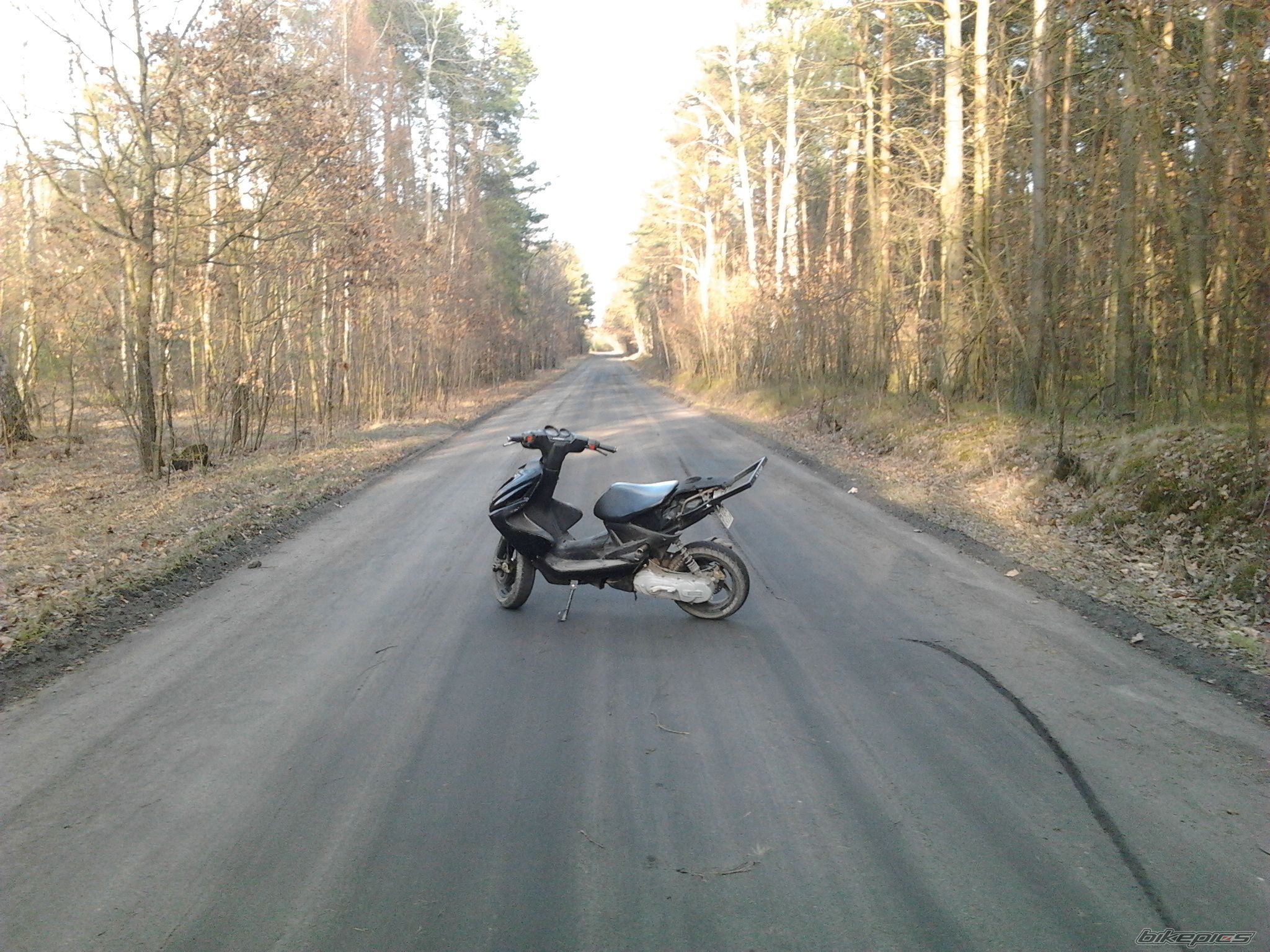 Photo 2376251