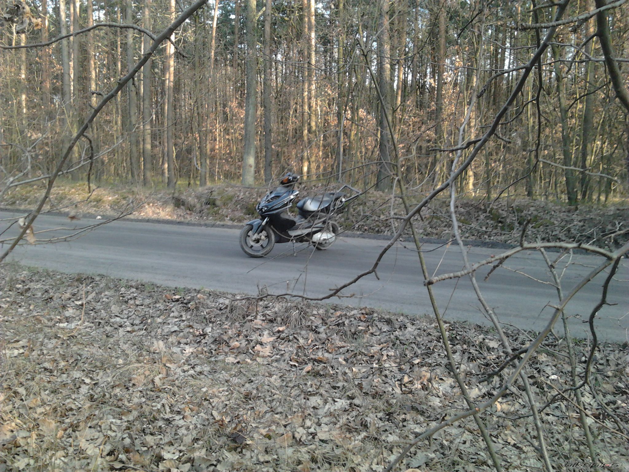 Photo 2376255