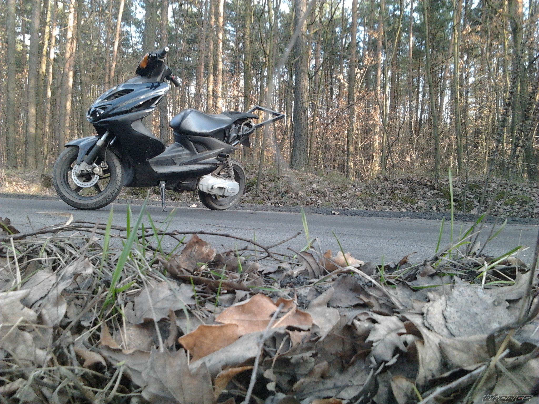 Photo 2376257