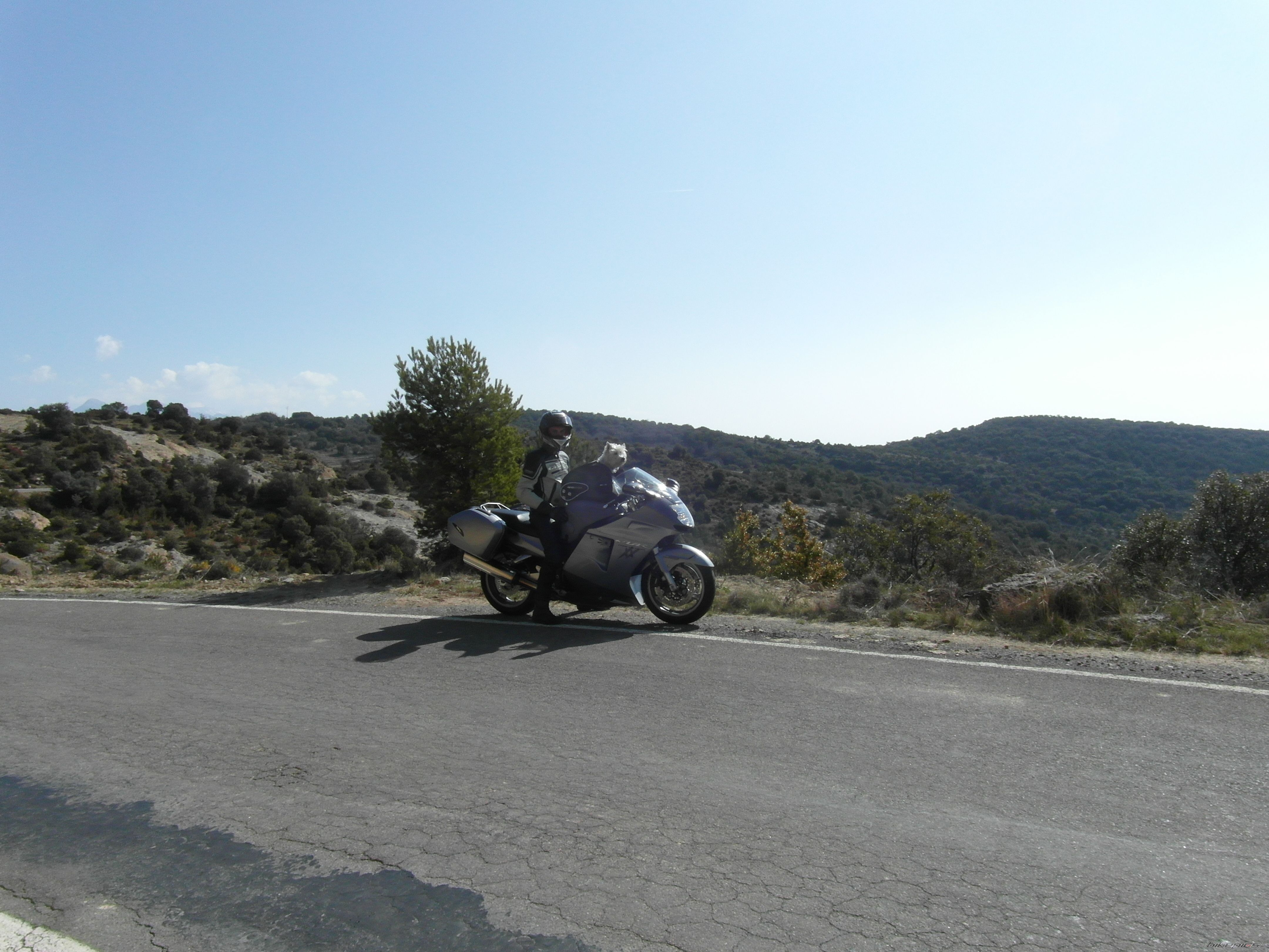 Bike Photo 2376319