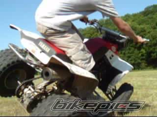 Photo 237632