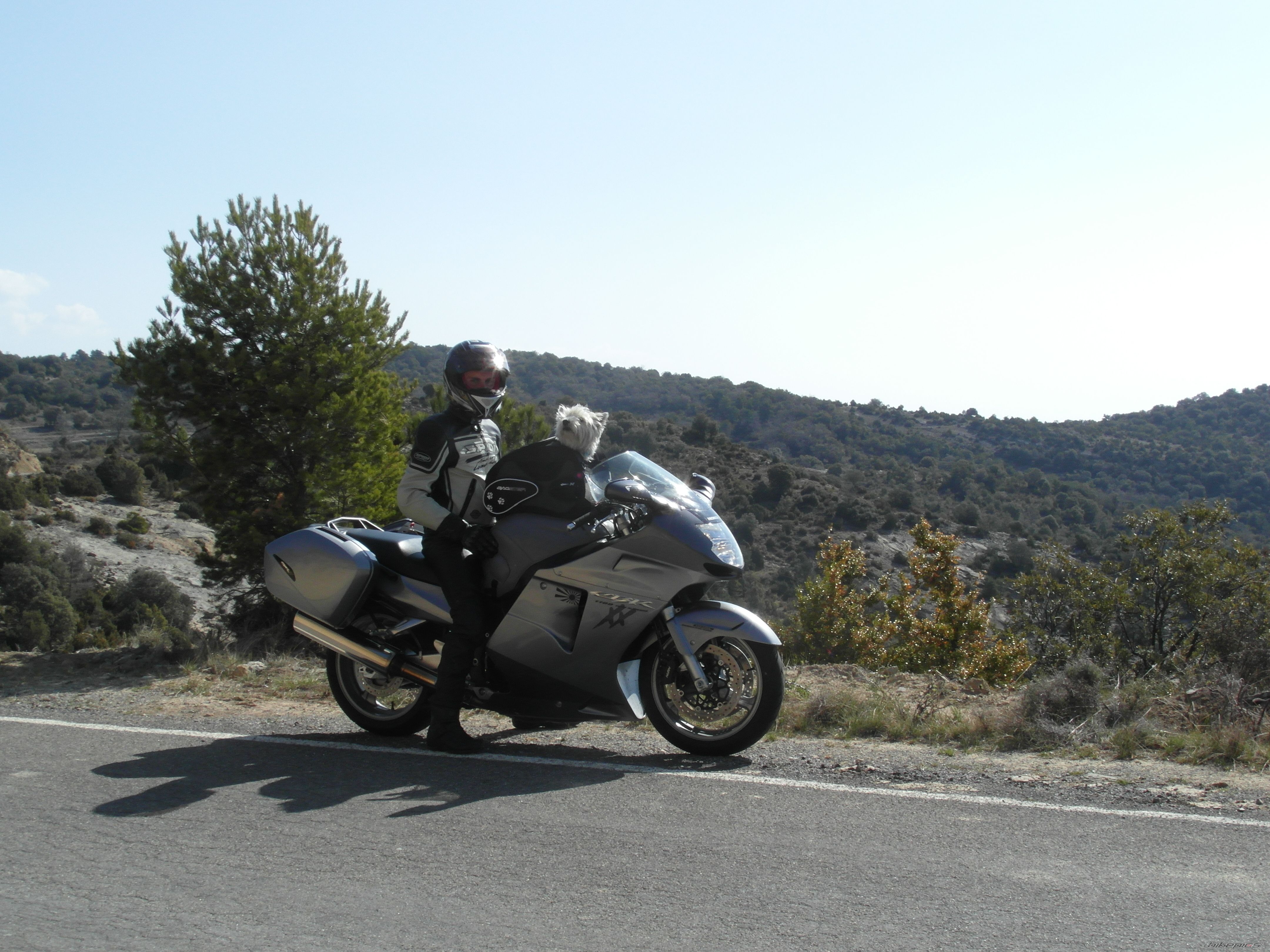 Photo 2376325
