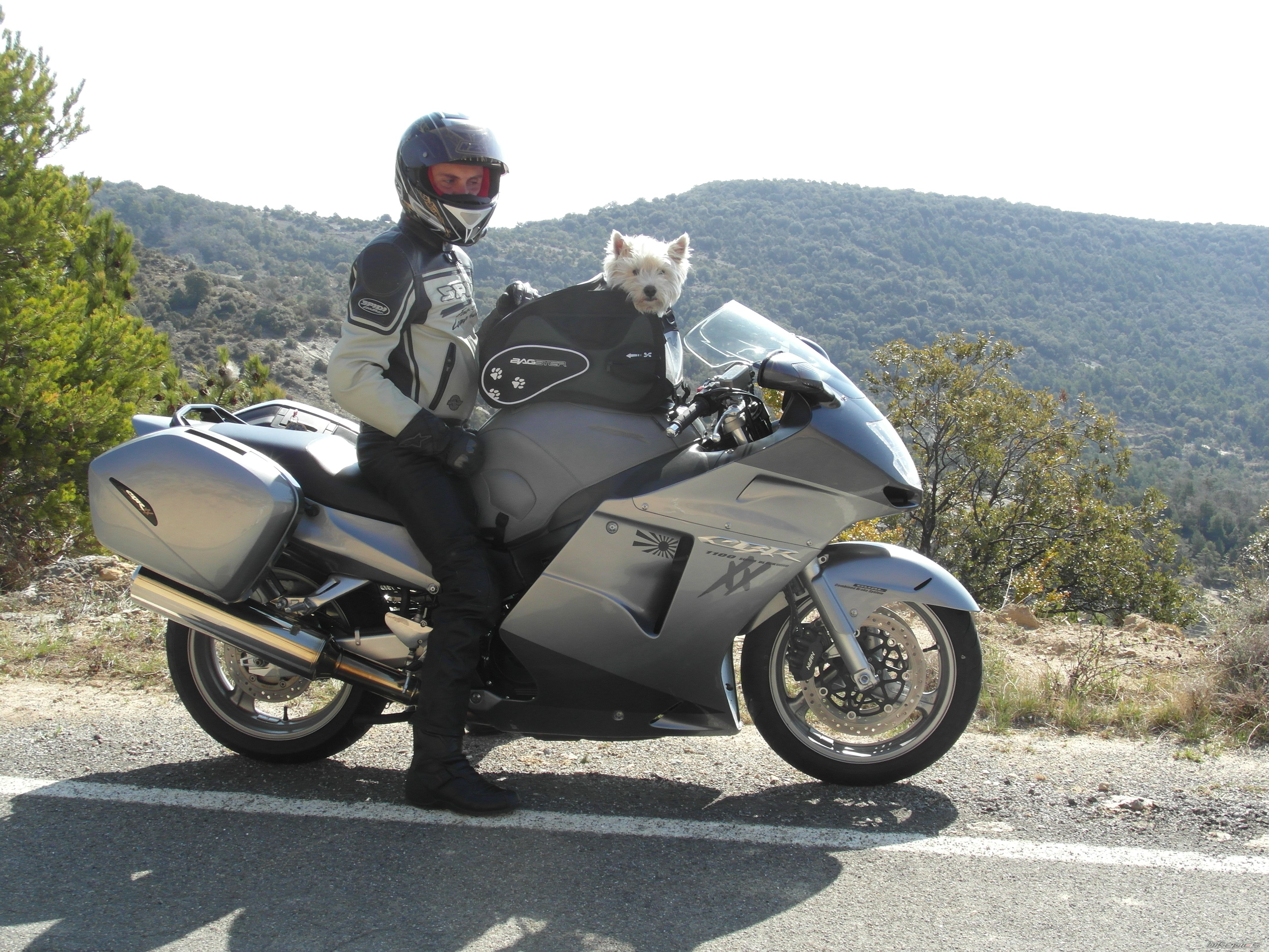 Bike Photo 2376329