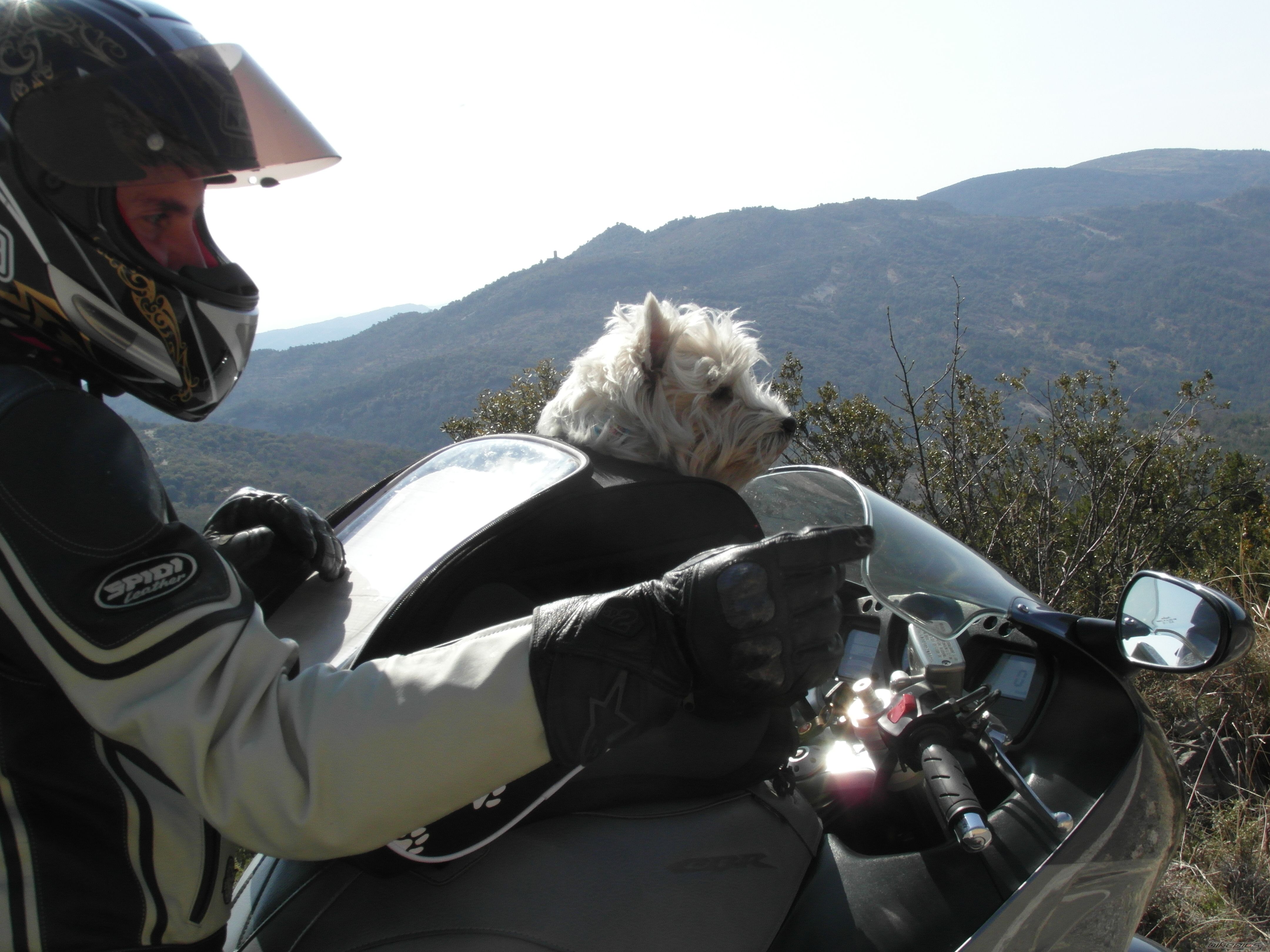 Bike Photo 2376332