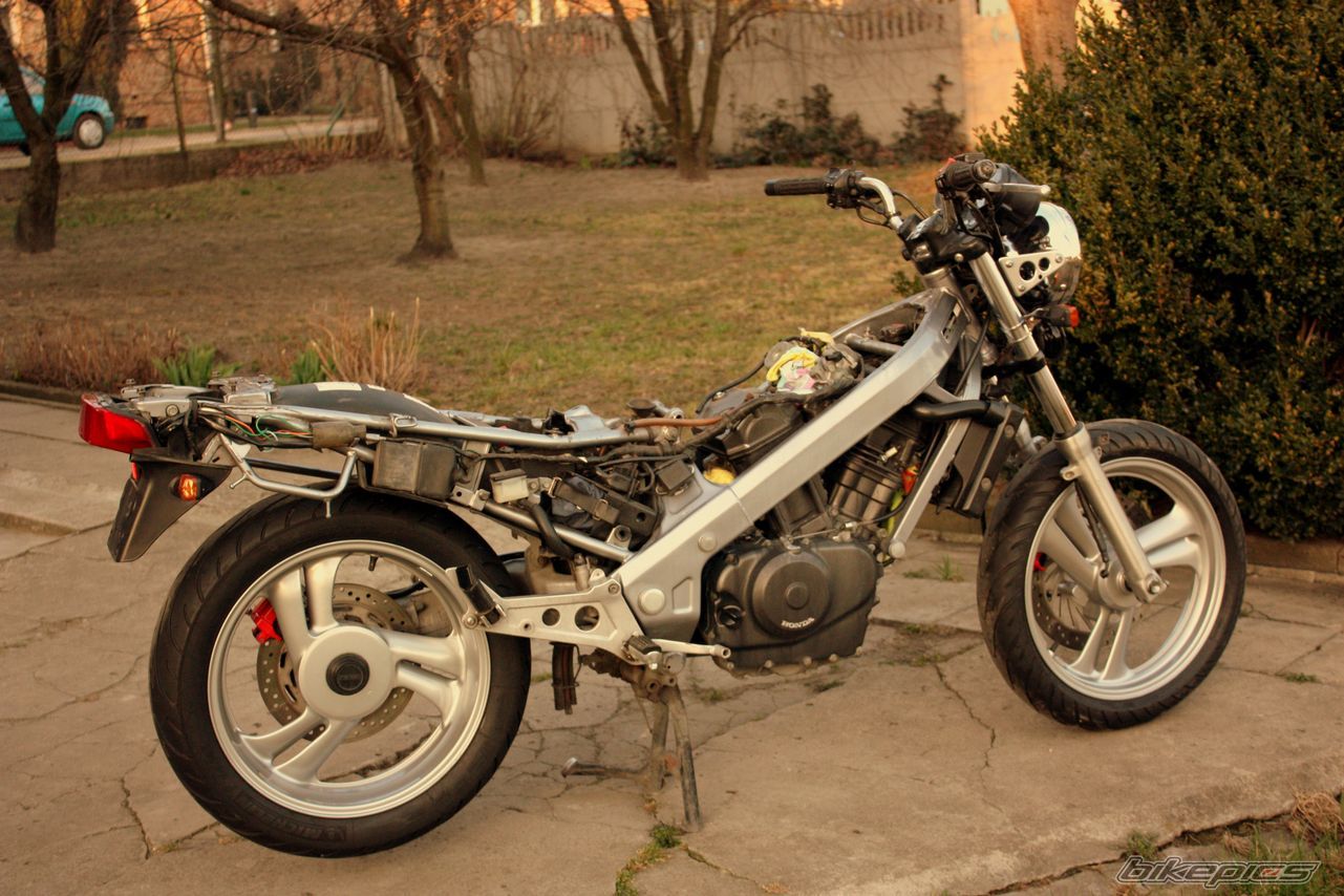 Photo 2376368