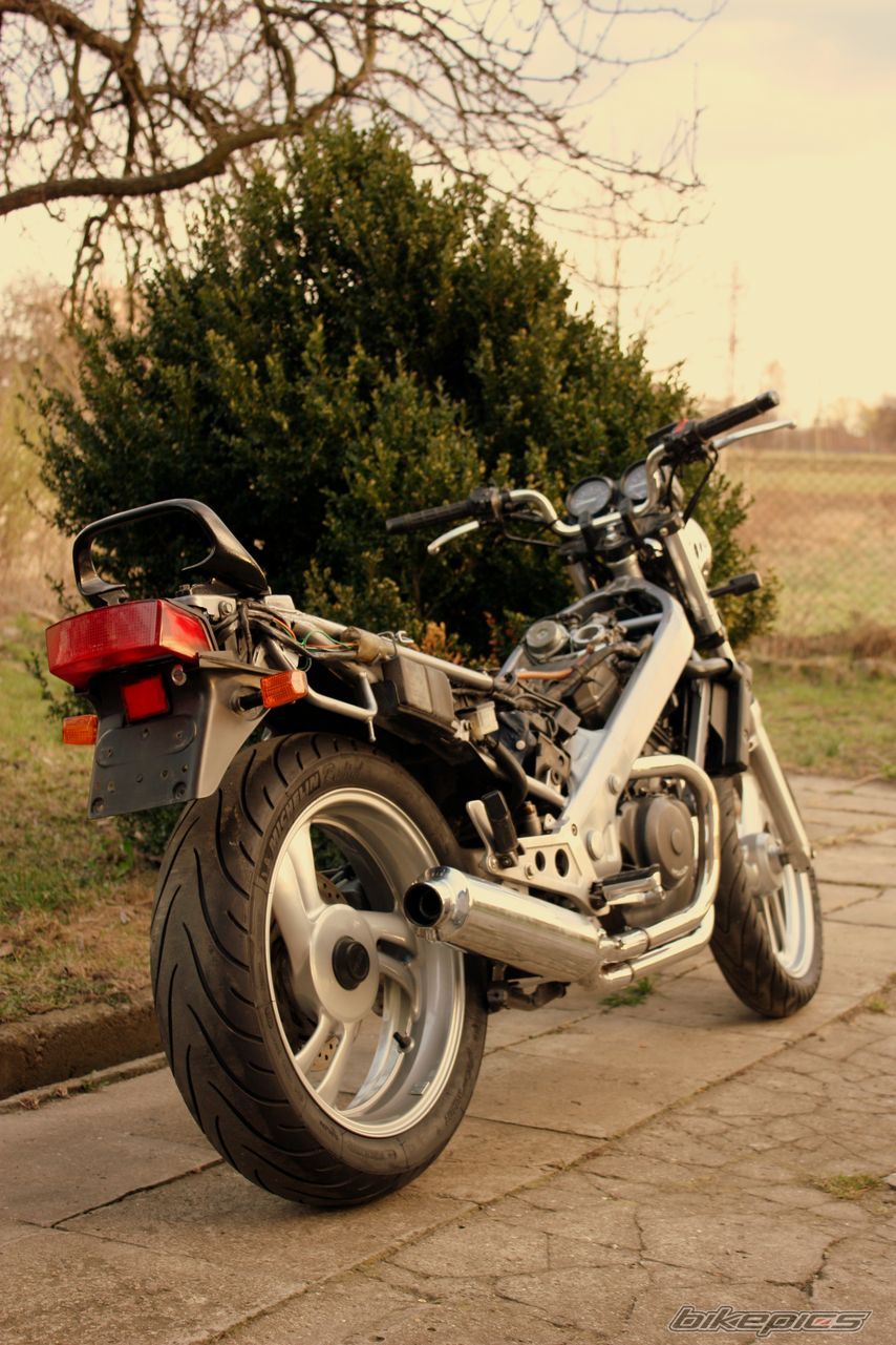 Photo 2376381