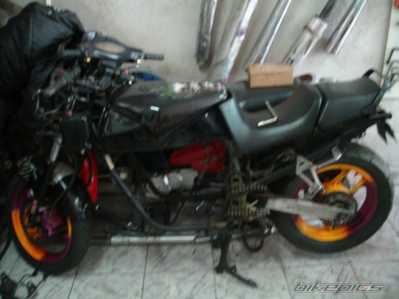 Photo 2376398
